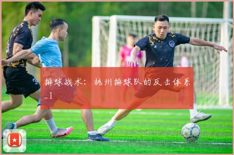 排球战术：杭州排球队的反击体系_1
