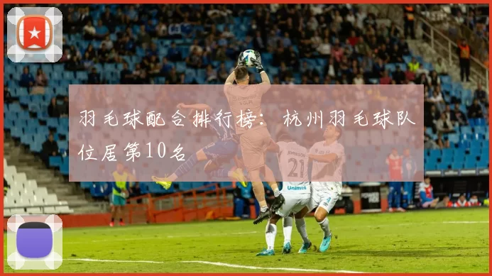 羽毛球配合排行榜：杭州羽毛球队位居第10名