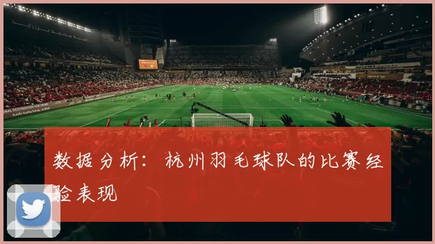 数据分析：杭州羽毛球队的比赛经验表现
