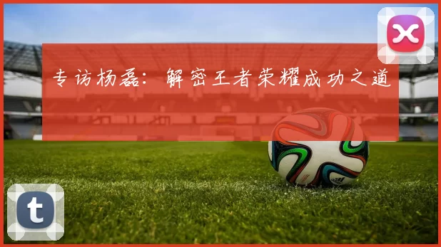 专访杨磊：解密王者荣耀成功之道