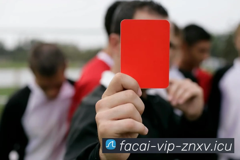 星空体育APP 封面图